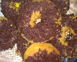 Foto langkah ke 7 dari resep Donat Menul (Super Empuk).