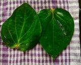 A picture of step 1 of Paan mocktail.