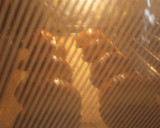 Foto del paso 6 de la receta: Bizcochos de manteca