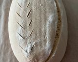 Foto del paso 8 de la receta Hogaza de Espelta Blanca y Harina de Arroz de Masa Madre !!!!! Dieta Fodmap …