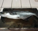 Foto langkah ke 1 dari resep Sup ikan patin kuah kuning (W#45).