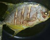 صورة لخطوة 1 من وصفة مرق سمك الزبيدي