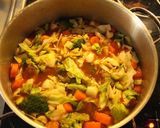 Foto del paso 8 de la receta: Vivaldi, sopa.... cuatro estazzionny