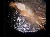 กุ้งมังกรทอดราดซอสเปรี้ยวหวาน