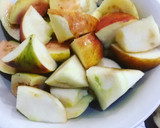 A picture of step 1 of Guava and Apple Juice.