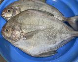 Foto langkah ke 1 dari resep Ikan Goreng Bumbu Acar Kuning.