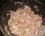 Foto del paso 3 de la receta: Gyozas