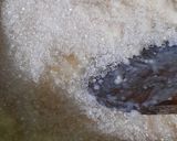 A picture of step 8 of Custard Flavoured Roasted Ground Rice Phirni.