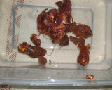 Foto langkah ke 1 dari resep Ayam Kecap.