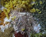 અચારી થેપલા=achari thepla in gujarati ) રેસીપી સ્ટેપ1ફોટો