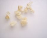 Foto del paso 9 de la receta Cervellets de canari