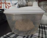 Foto langkah ke 1 dari resep Cakue.