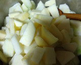 Foto del paso 5 de la receta: Crema de calabacín y manzana