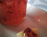 Foto del passaggio 5 della ricetta Gelatina alla violetta