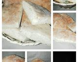 صورة لخطوة 4 من وصفة مطلوع الفرن خفيف ريشة 🥖💞