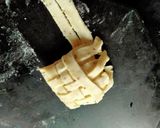 A picture of step 13 of Chinese Noodles Mat Samosa.
