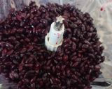 عکس مرحله 4 از دستور آب زرشک سیاه(کوهی)