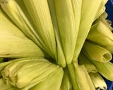 Foto del paso 4 de la receta: Humitas caseras