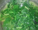 પાલક રાઈસ (Spinach Rice Recipe In Gujarai) રેસીપી સ્ટેપ2ફોટો