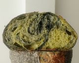 Foto langkah ke 30 dari resep Pandan Charcoal Sourdough Bread (88% - Oven Tangkring).