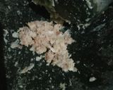 Foto langkah ke 1 dari resep Mie Godhog.