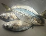Foto langkah ke 1 dari resep Ikan Sambalado.