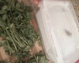 صورة لخطوة 1 من وصفة تخزين معدنوس (بقدونس) "2"
