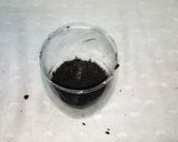 A picture of step 4 of Sesame and Oreo biscuit custard.