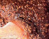 Foto del paso 2 de la receta: Turrón de avena
