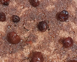 Φωτογραφία βήματος 7 της συνταγής Τούρτα black forest