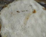 A picture of step 10 of Puran poli.