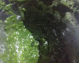 A picture of step 4 of Grilled Gauva in Spinach Apple Curry.