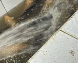 Foto langkah ke 1 dari resep Arsik Ikan Mas Merah (Makanan Khas Batak).