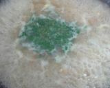 Foto del paso 6 de la receta Mejillones a la cerveza