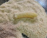 Foto del paso 3 de la receta: Fideos fritos