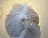Foto del paso 2 de la receta: PapáRrdelle
