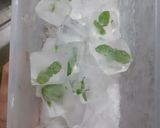 Foto langkah ke 5 dari resep Teh Mint Murni/ Pure Mint Tea (Tanpa tambahan Teh).