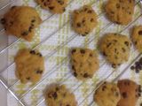 Vanilla Chocochips Cookies