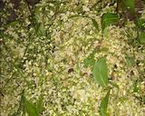 A picture of step 1 of Dry Neem Flowers, Veggies Subzi(no onion, garlic).