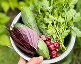 Hình bước làm 1 của món Gỏi Tôm Dưa Leo Ớt Chuông