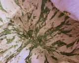 A picture of step 4 of Homemade Verjuice (Abghooreh) – Boiled Method.