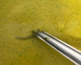 Foto del paso 5 de la receta: Crema de verduras sin lácteos