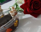 عکس مرحله 2 از دستور پودینگ شکلاتی