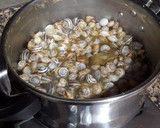 Foto del paso 7 de la receta: Caracoles en salsa de hierbas aromáticas y plantas medicinales