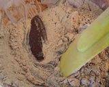 Foto langkah ke 4 dari resep Brownies Pisang (#postingrame2_pisang).