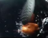A picture of step 4 of Vada pav.