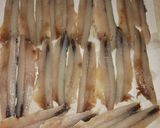 Foto del paso 5 de la receta: Boquerones en Vinagre