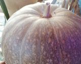 Foto del passaggio 2 della ricetta Risotto delicato su vellutata di zucca🍚🥓🧅🎃