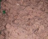 A picture of step 4 of Shami kabab.