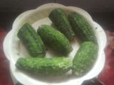 ભરેલાં કારેલાં (Stuffed Karela Recipe in Gujarati)
